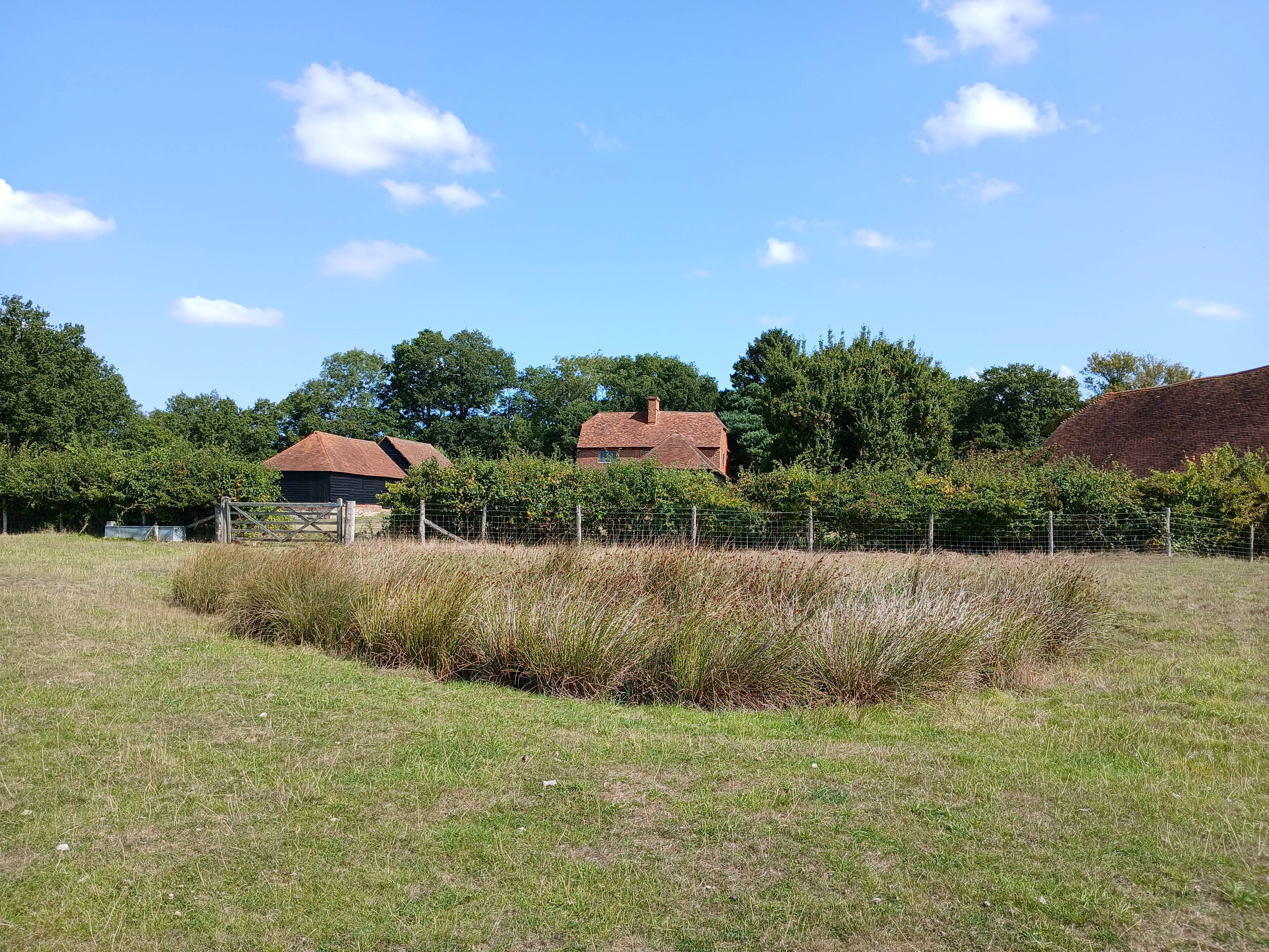 Obriss Farm Pond 1 (not KCC copyright).jpg